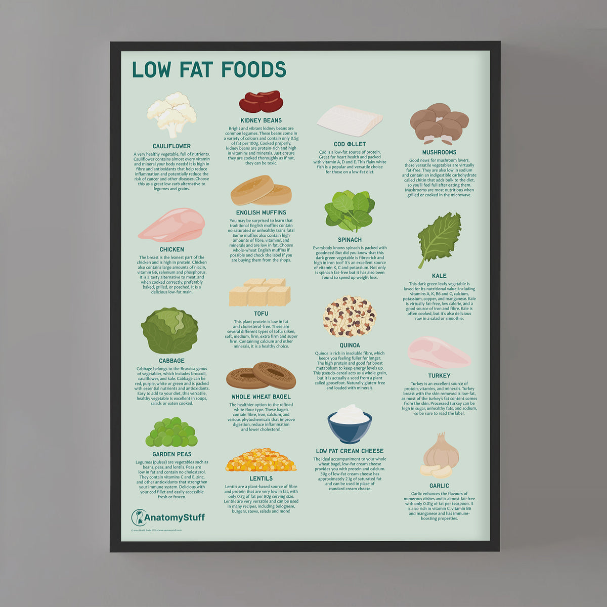 Low Fat Foods Poster Healthy Low Fat Foods AnatomyStuff