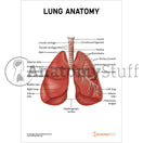Switch Lung Anatomy Poster / Worksheet - Digital Download 2 image