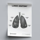 Switch Lungs Anatomy Poster PDF 2 image