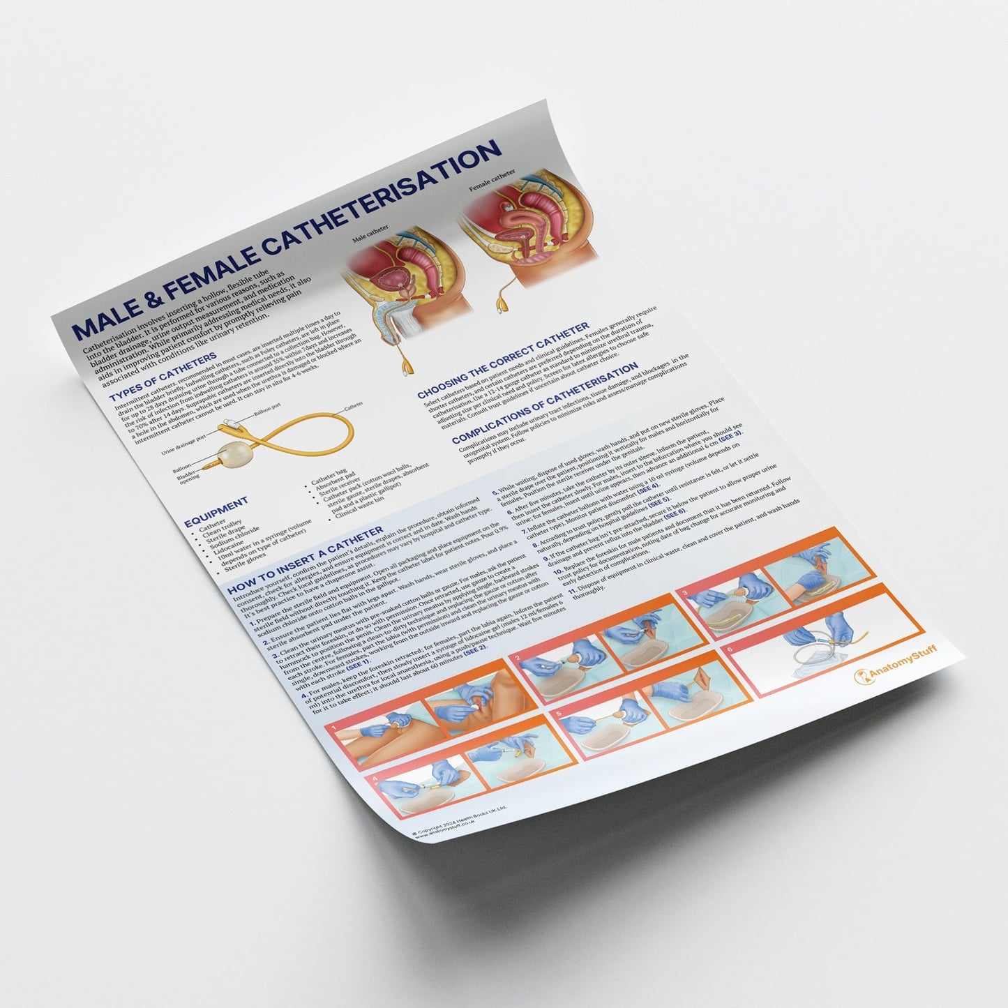 Male and Female Catheterisation Chart / Poster - Part of Collection
