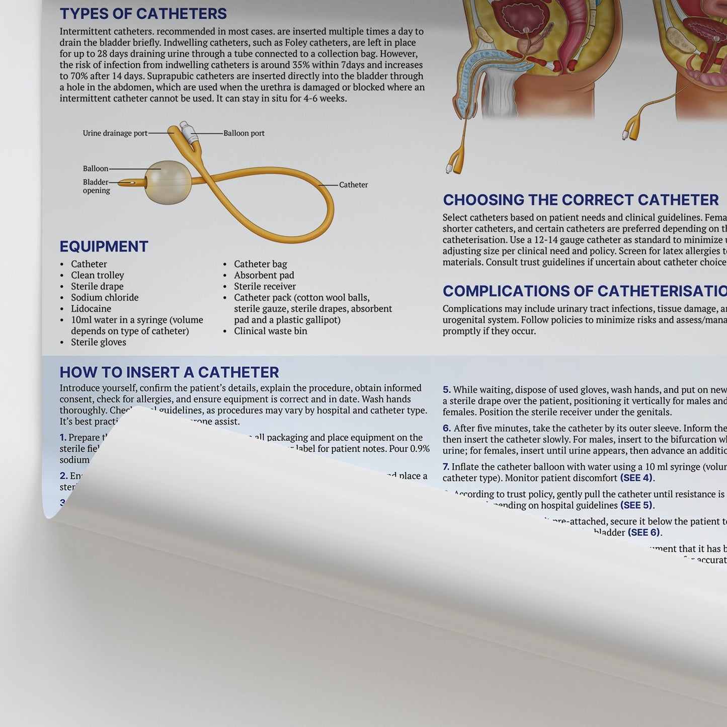 Male and Female Catheterisation Chart / Poster - Part of Collection