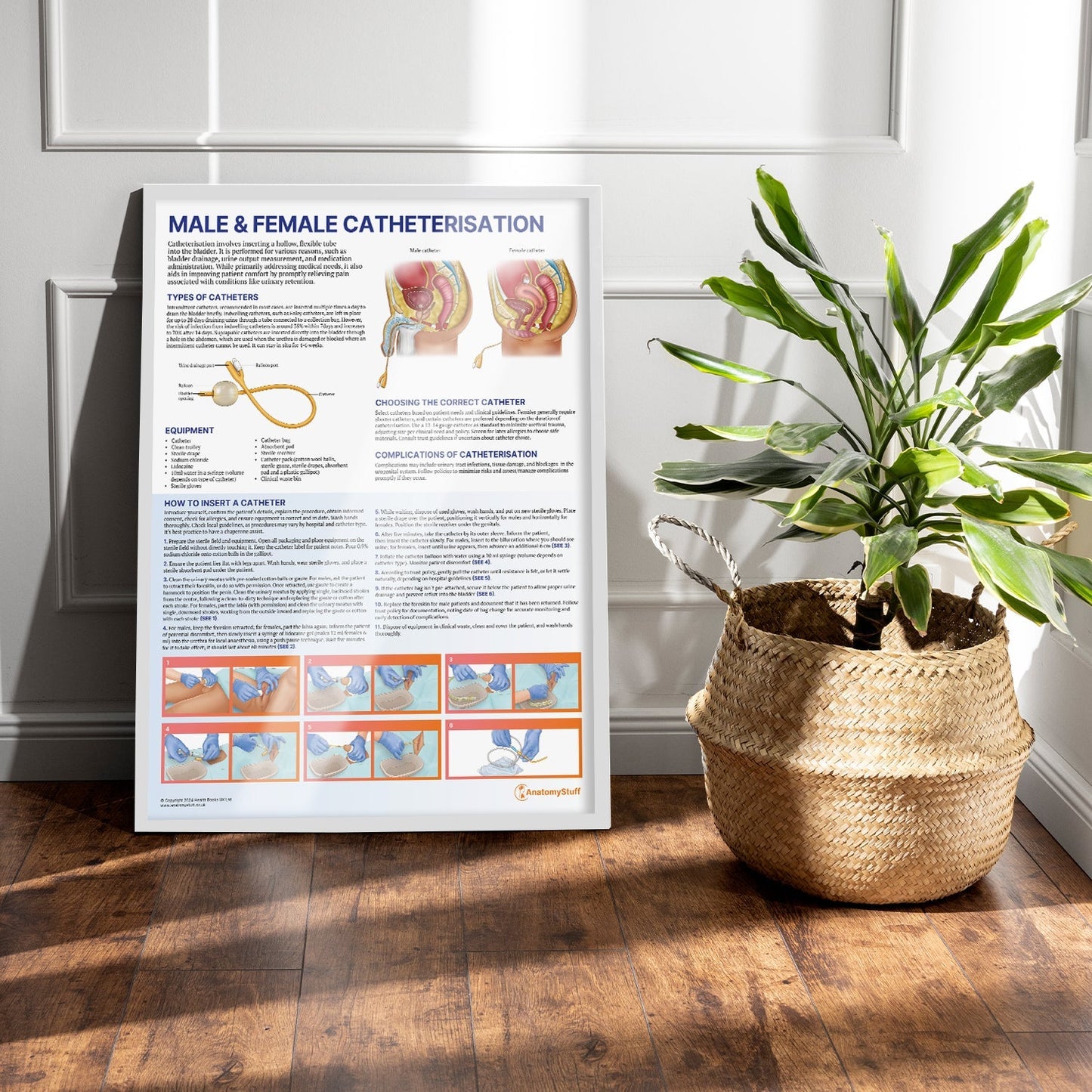 Male and Female Catheterisation Chart / Poster - Part of Collection