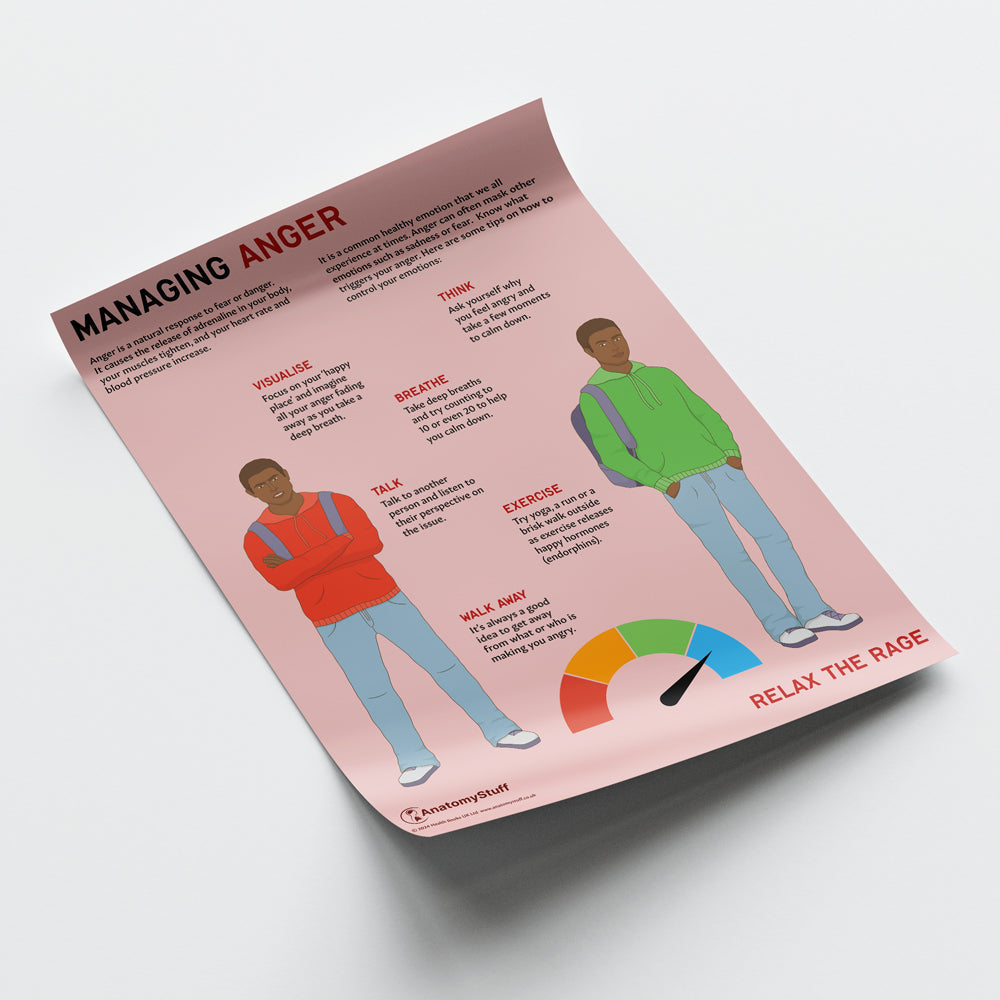 Managing Anger Chart / Poster - Part of Collection