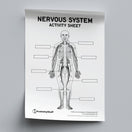 Switch Nervous System Anatomy Activity Sheet PDF 2 image