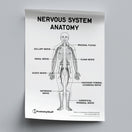 Switch Nervous System Anatomy Poster PDF 2 image