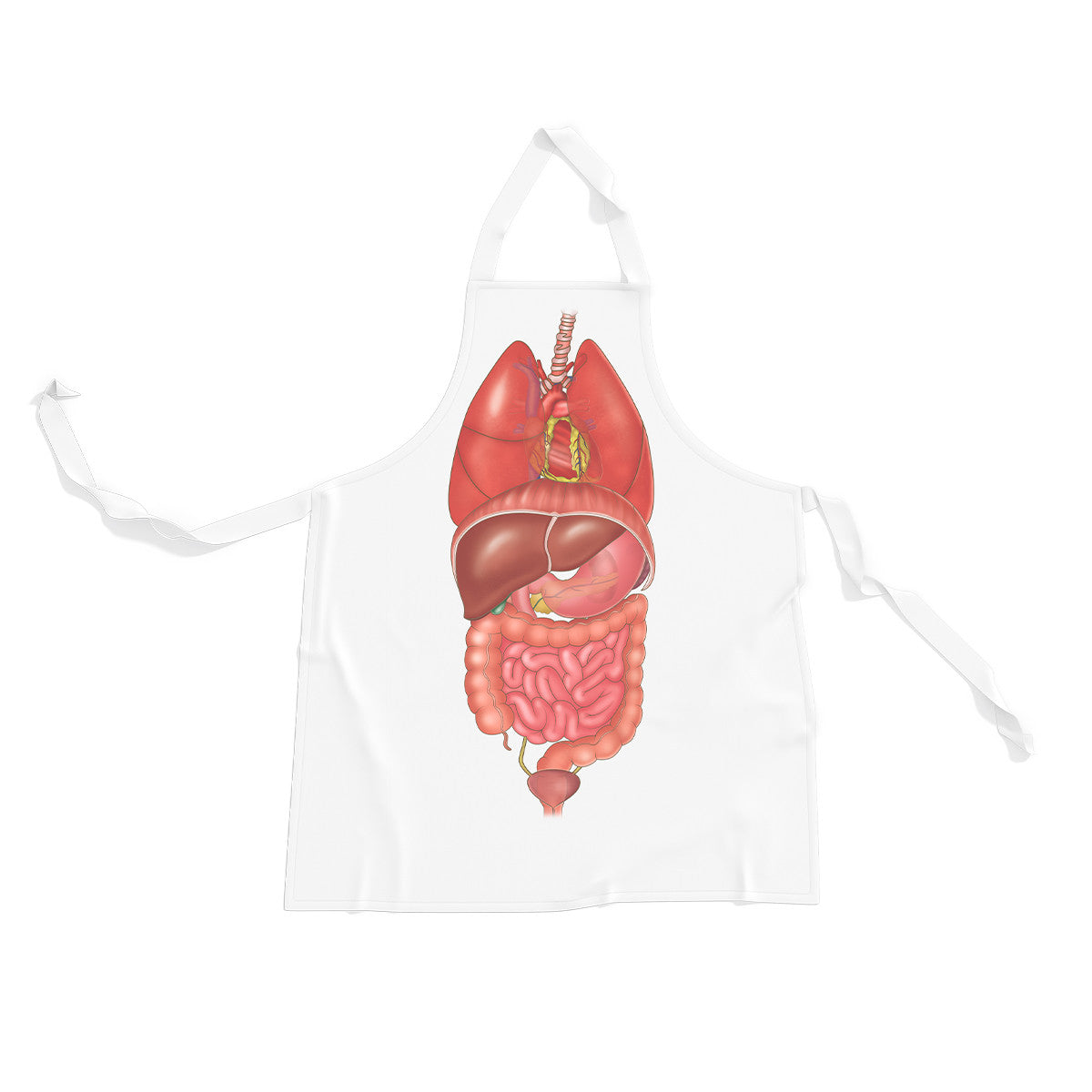 Internal Organs Apron