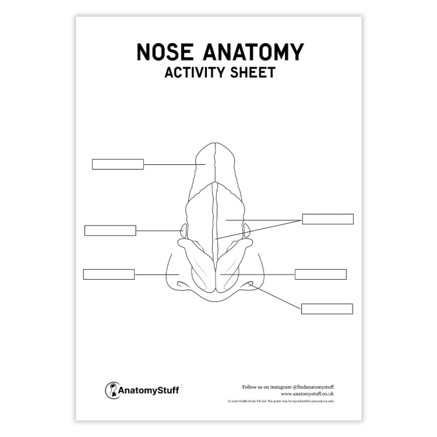 Nose Anatomy Activity Sheet PDF