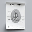 Switch Nose Anatomy Poster PDF 2 image