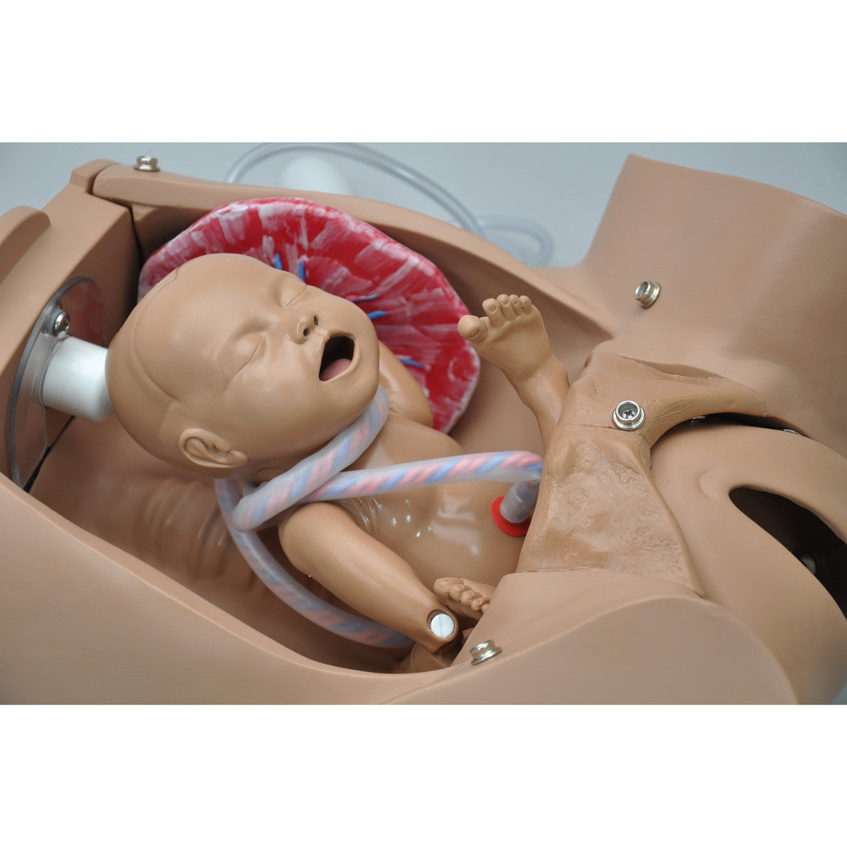 Obstetric SUSIE Childbirth Skills Trainer Torso