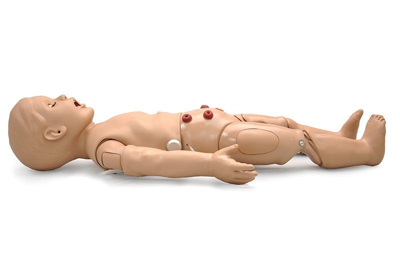 One-Year-Old Multipurpose Patient Simulator