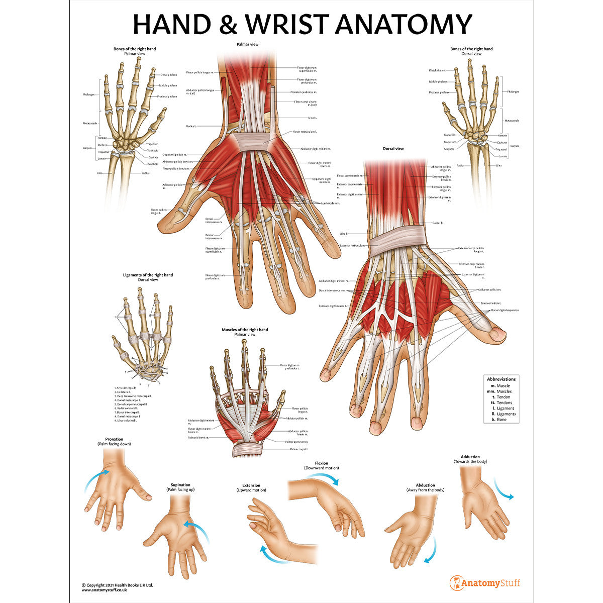 Orthopaedic Starter Pack Bundle