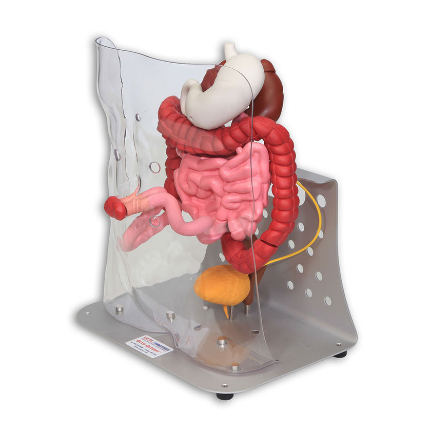 Otto Ostomy™ Advanced Model