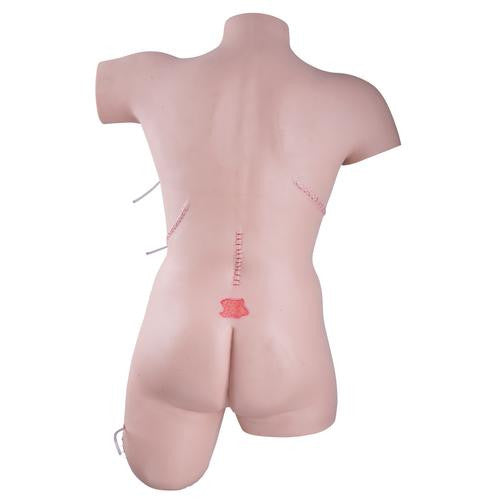 Wound Care / Bandaging Technique Trainer