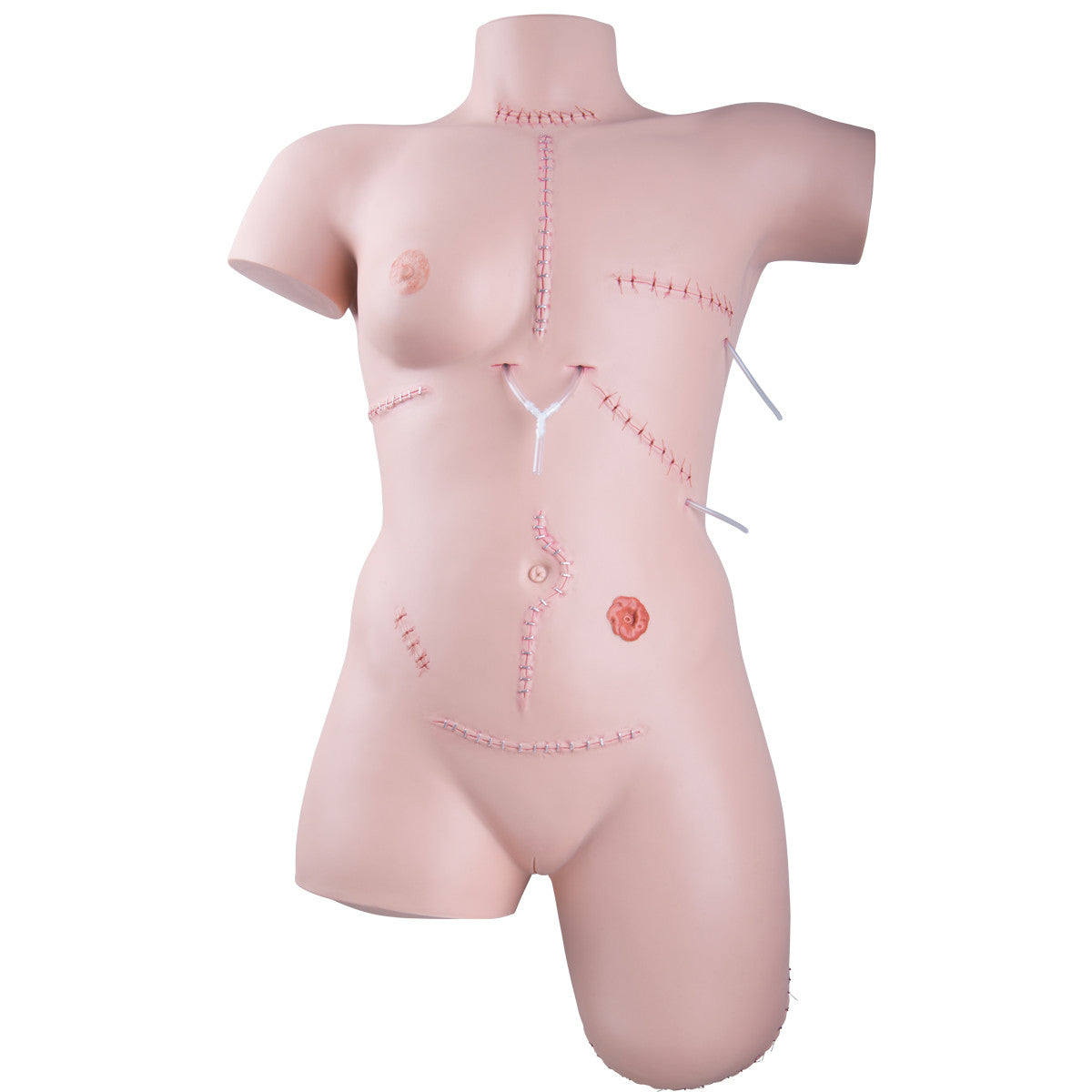 Wound Care / Bandaging Technique Trainer