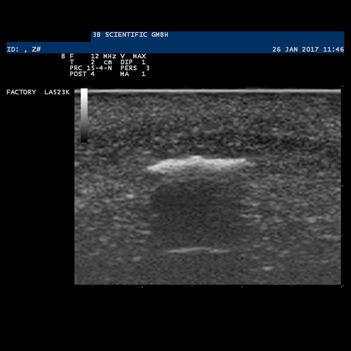 Image 5