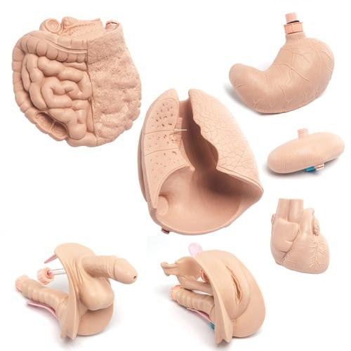 Upgrade Kit for Patient Care Manikin Basic