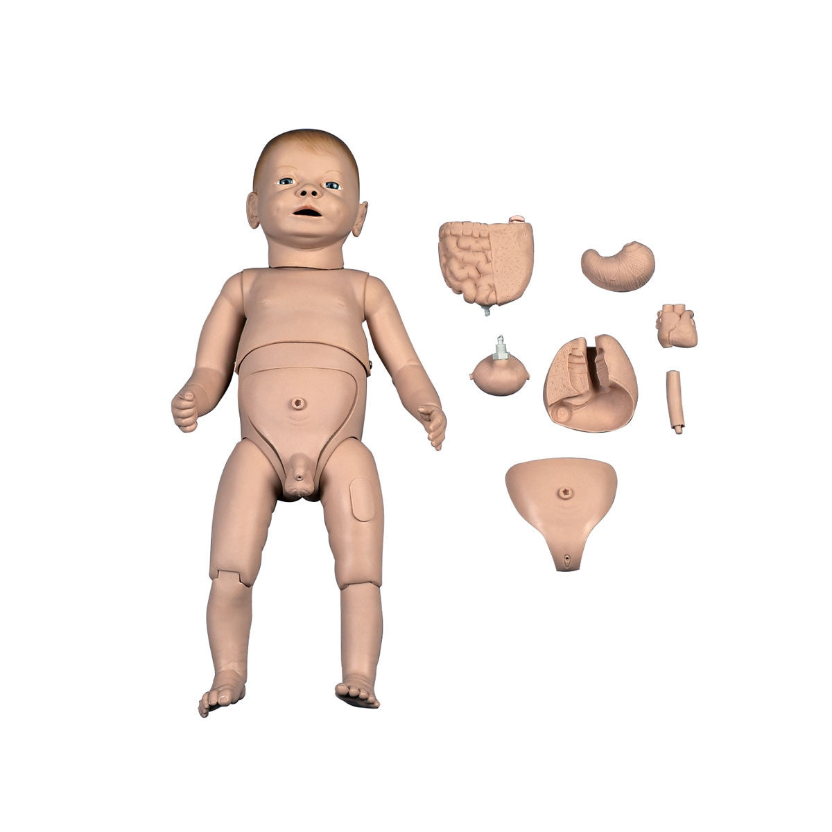 New Born Baby Nurse Training Manikin