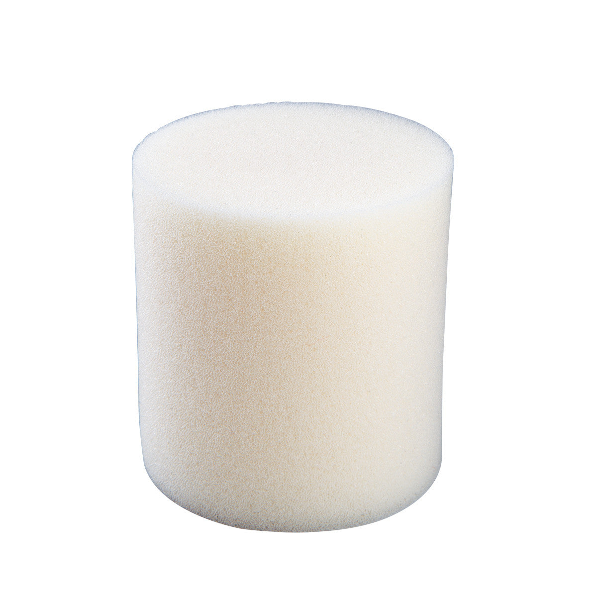 Replacement Foam Pads for 3B Intramuscular Injection Simulator (Pack of 2)