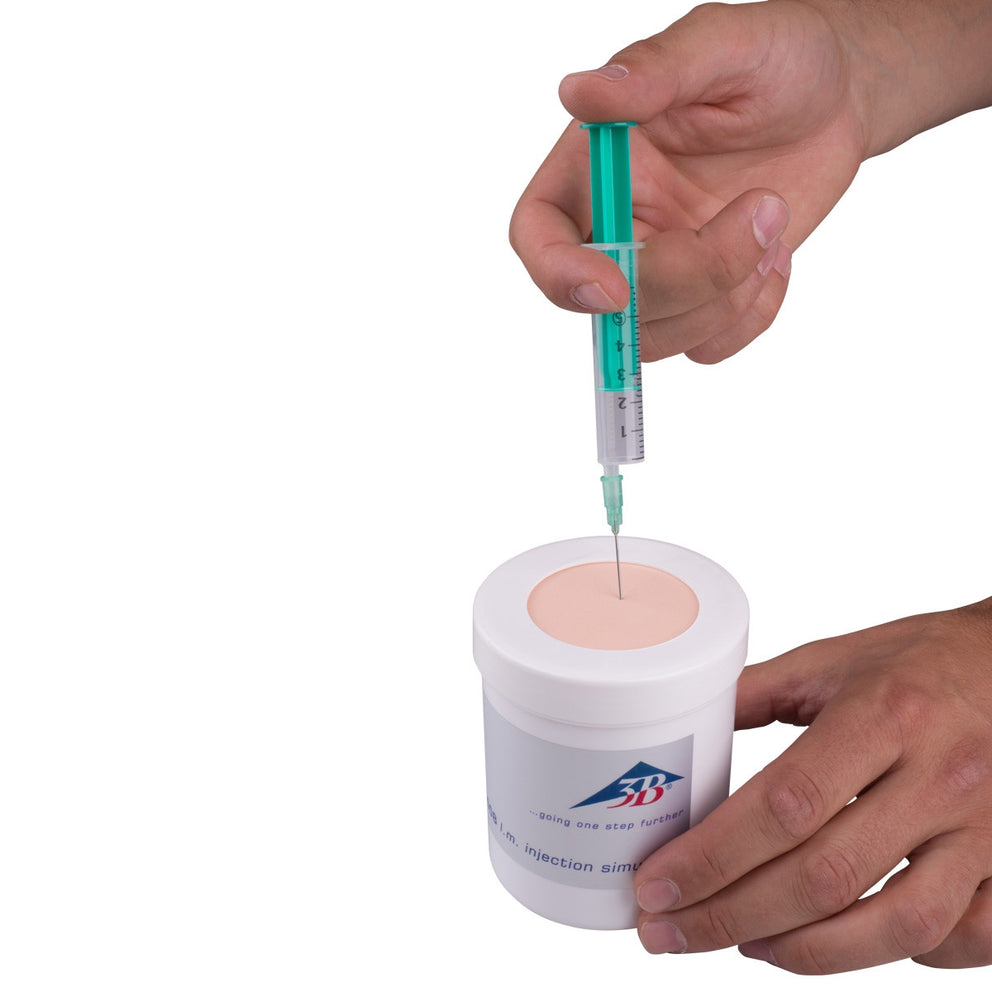 3B Scientific Intramuscular Injection Simulator 1010008-1023300 ...