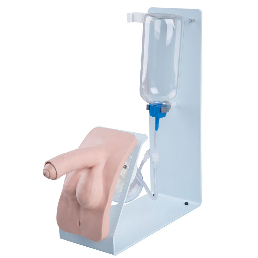 1020232 P93B-M Catheterization simulator BASIC male