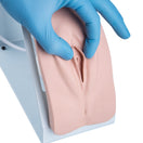 Switch Demonstration of The Female Catheterisation Simulator 3B 3 image