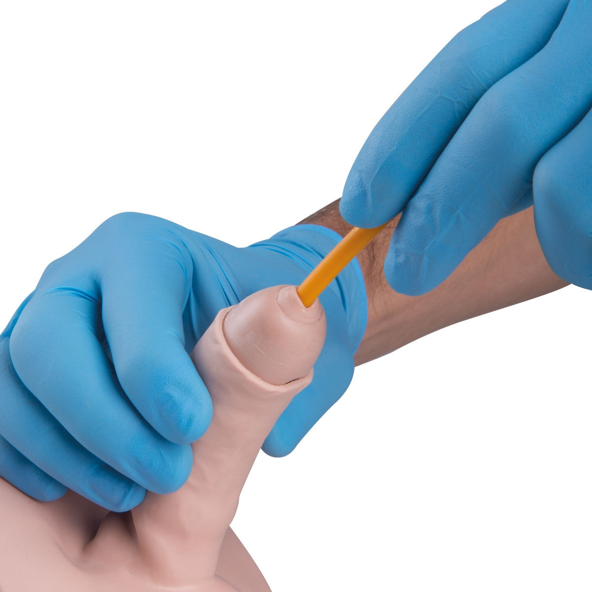 Catheterization Simulator BASIC Set (Male and Female)