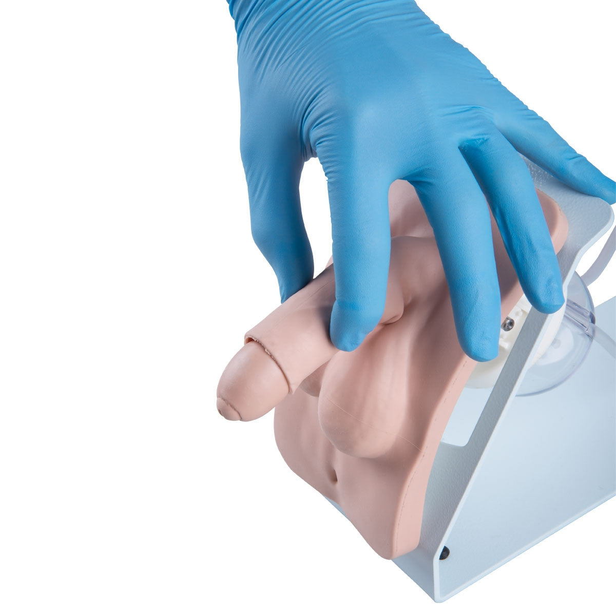Catheterization Simulator BASIC Set (Male and Female)