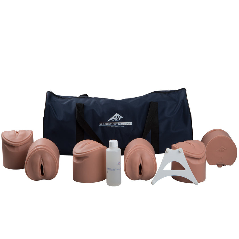 3B Birthing Stages Trainer P94