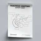Switch Pancreas Anatomy Activity Sheet PDF 2 image
