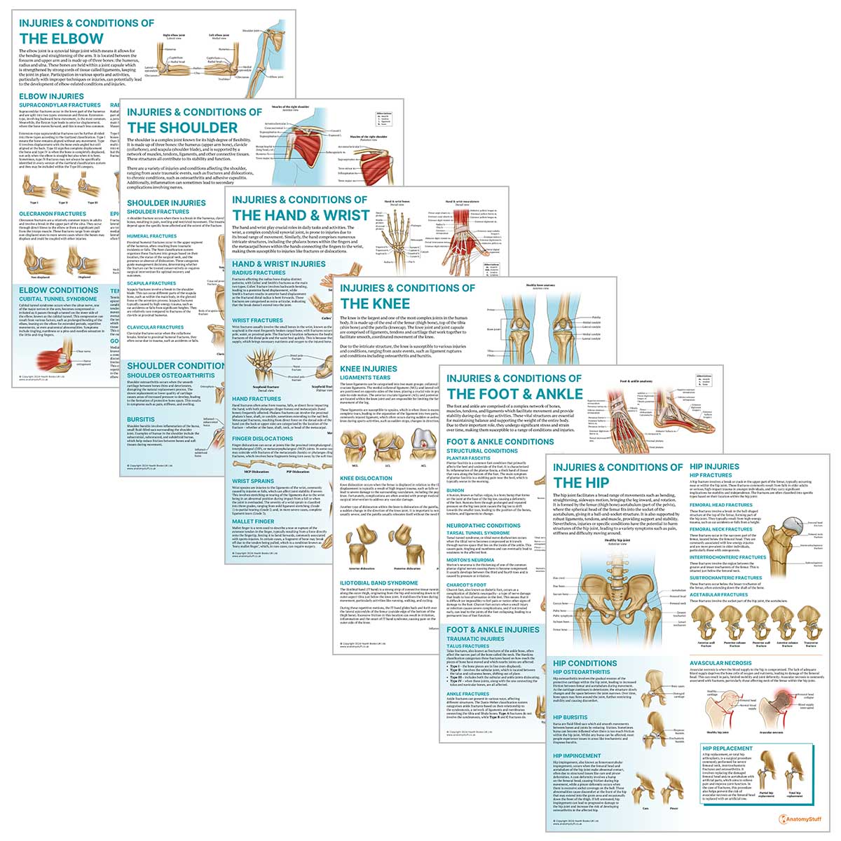 Peripheral Joint 6 Chart Collection | AnatomyStuff Posters