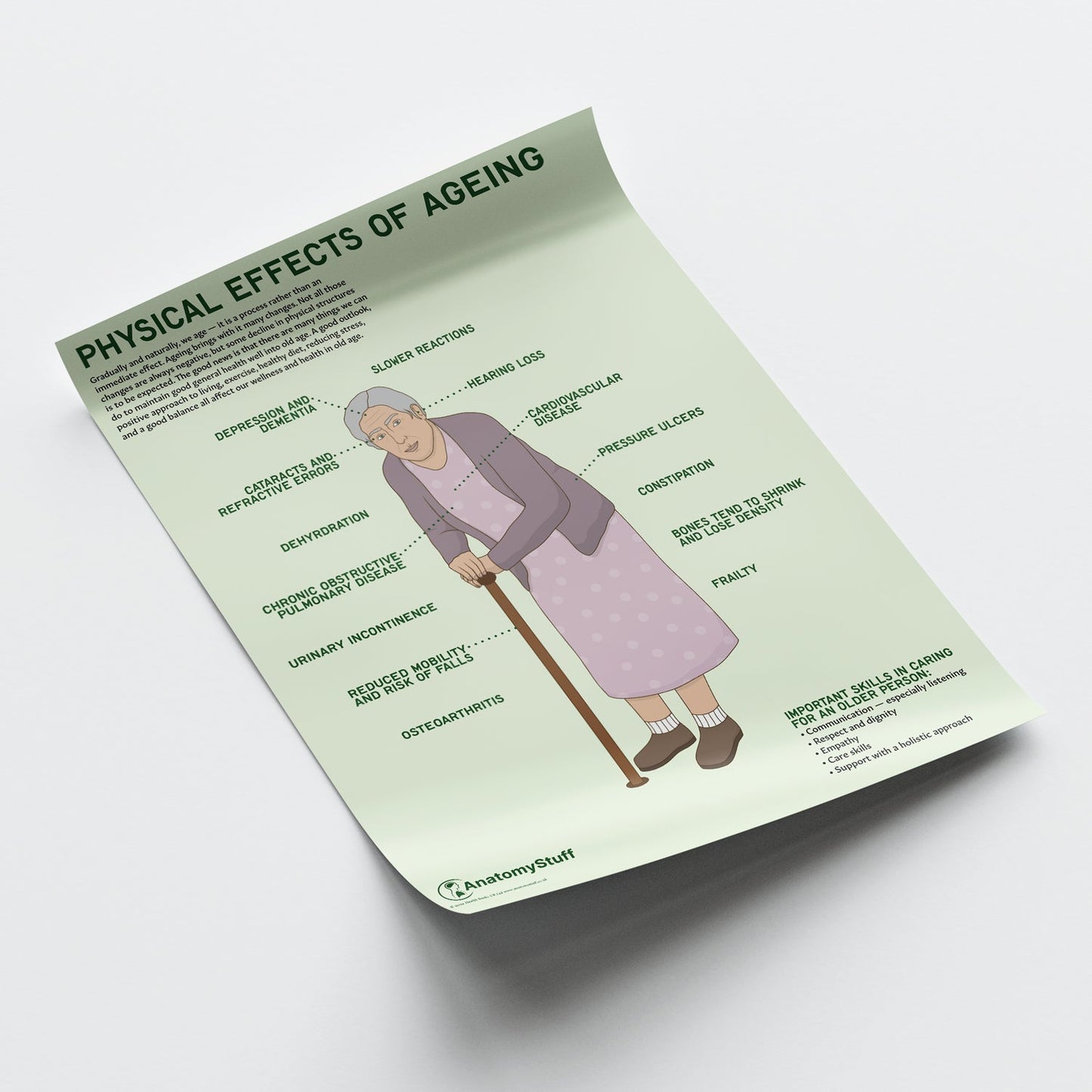 Physical Effects Of Ageing Chart / Poster - Part of Collection