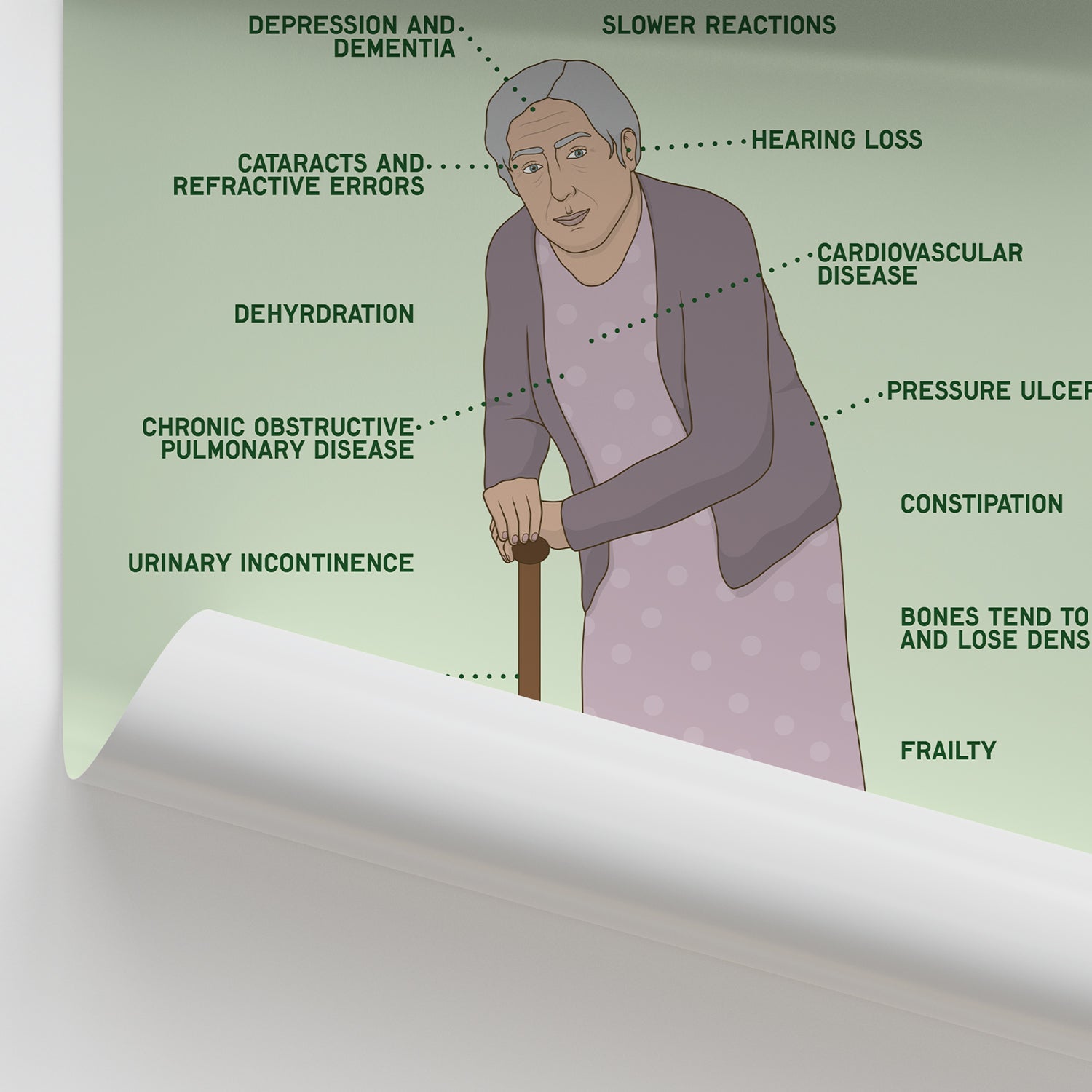 Physical Effects Of Ageing Chart / Poster