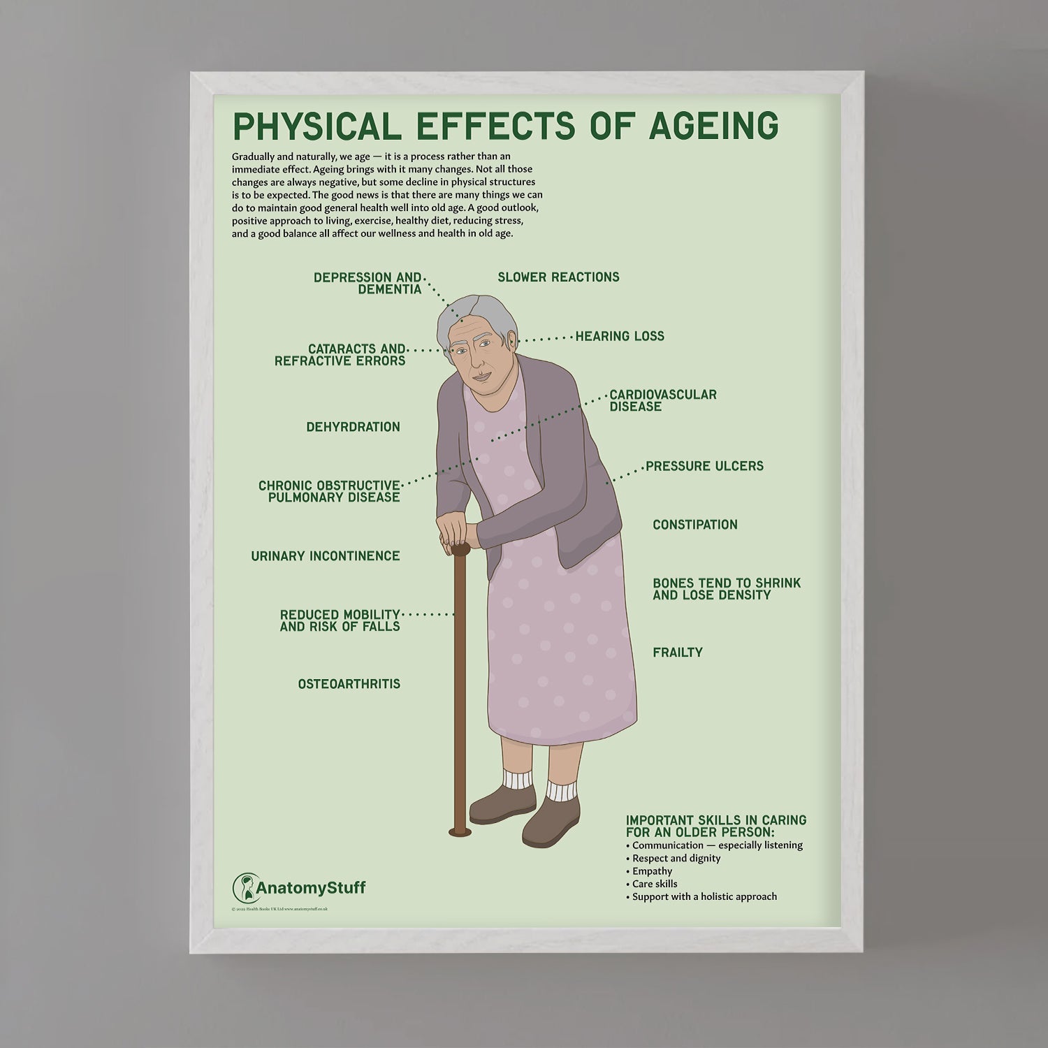 Physical Effects Of Ageing Chart / Poster