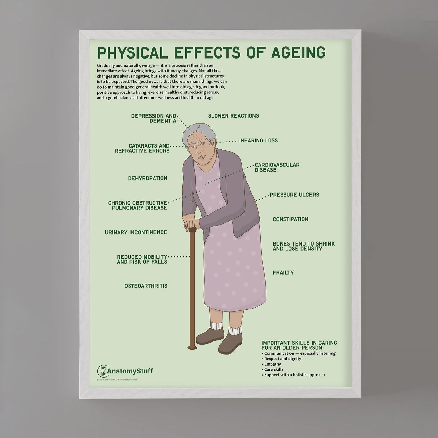 Physical Effects Of Ageing Chart / Poster - Part of Collection