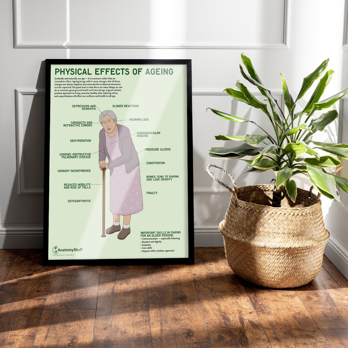 Physical Effects Of Ageing Chart / Poster - Part of Collection