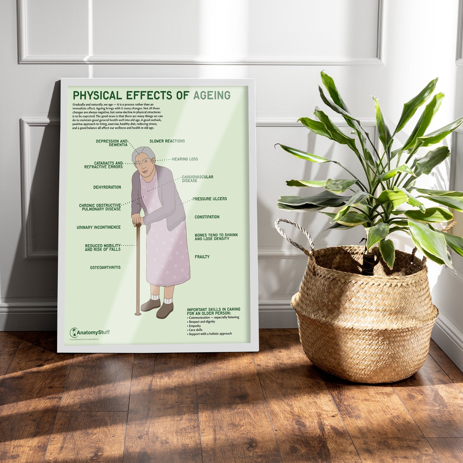 Physical Effects Of Ageing Chart / Poster