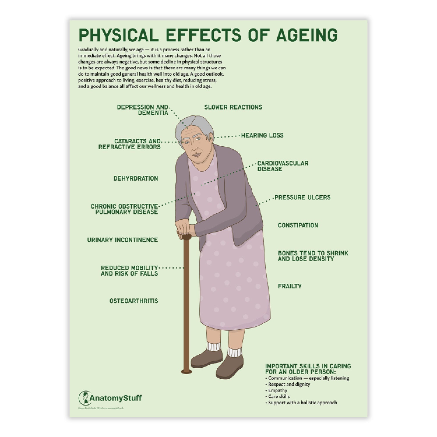 Physical Effects Of Ageing Poster | Elder Care Poster – AnatomyStuff