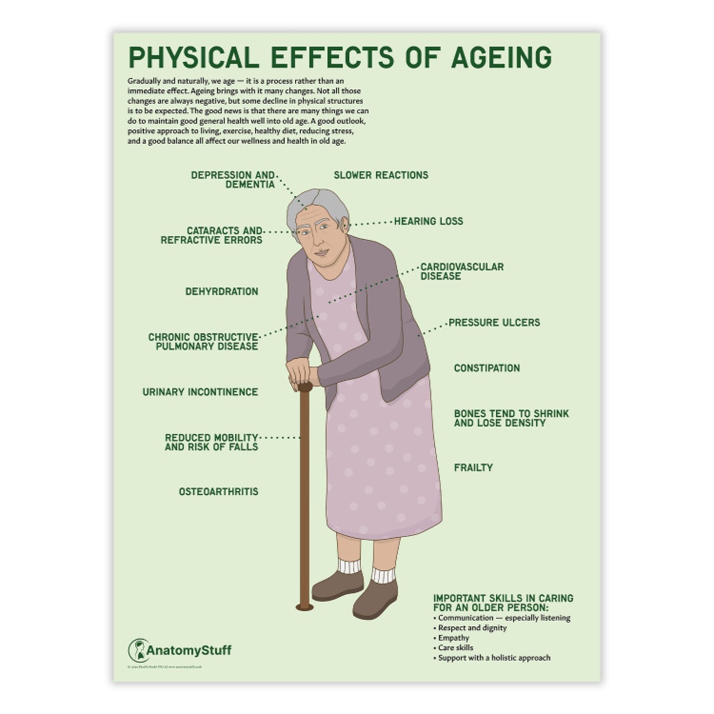 Physical Effects Of Ageing Chart / Poster - Part of Collection