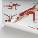 Switch Pilates Anatomy Chart / Poster 3 image