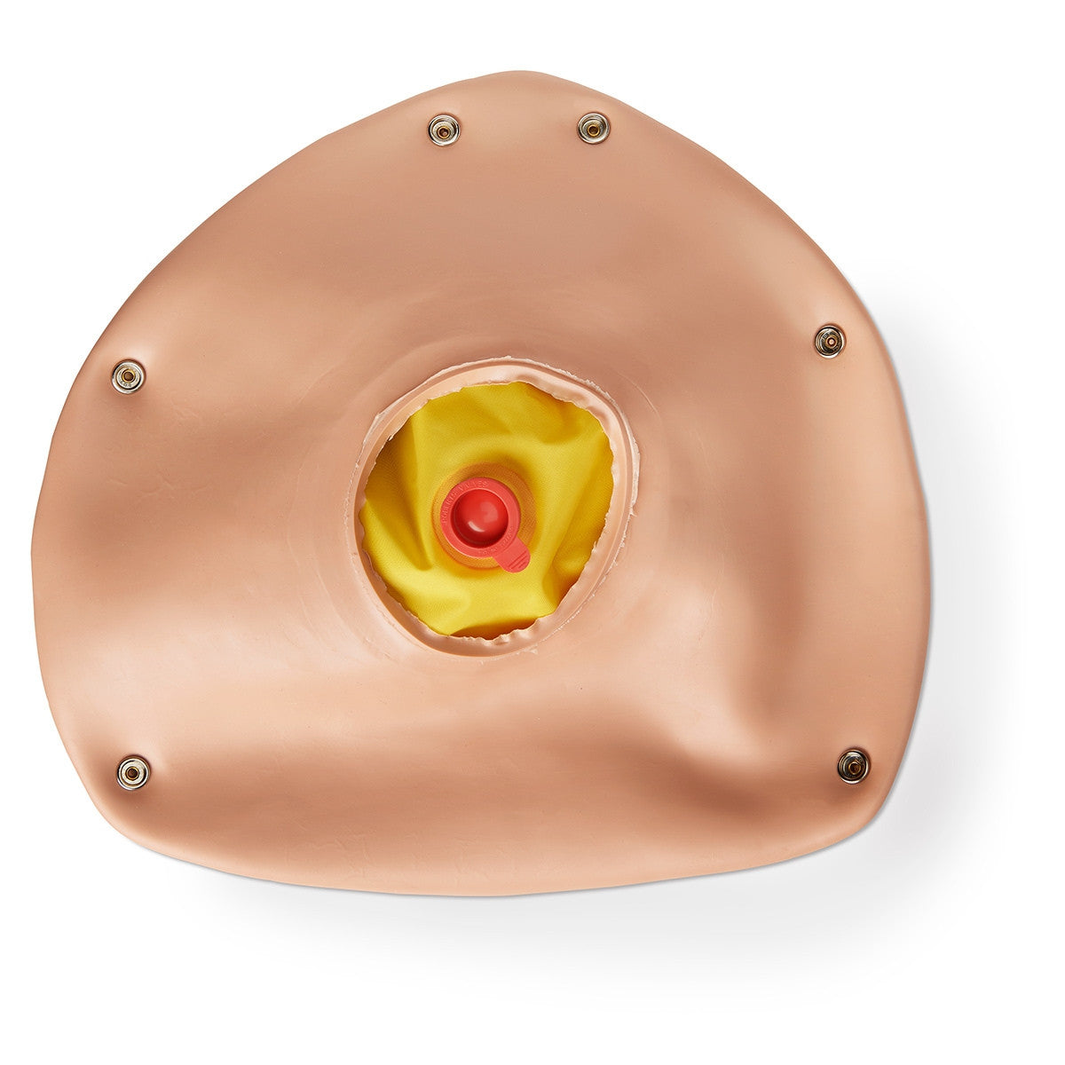 Pregnant Overlay with Foetus for Obstetrical Training Manikin