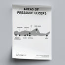 Switch Pressure Ulcer Areas Poster PDF 2 image