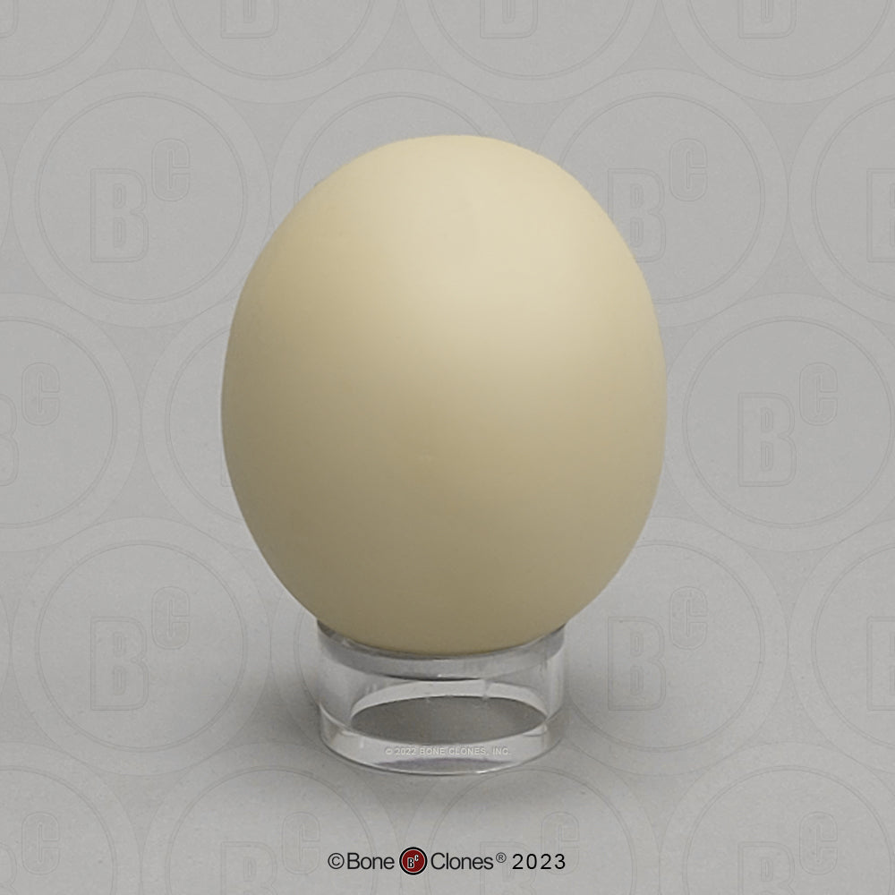 Bone Clones Bird and Platypus Eggs