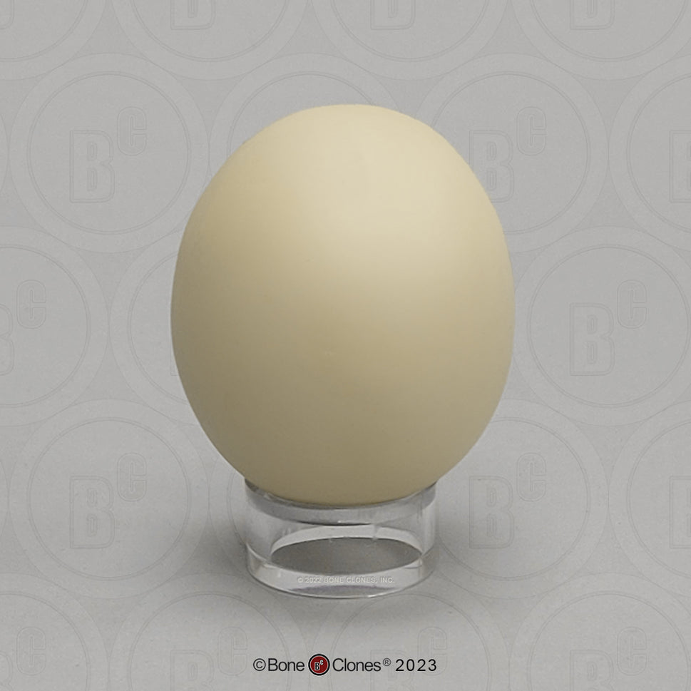 Bone Clones Bird and Platypus Eggs