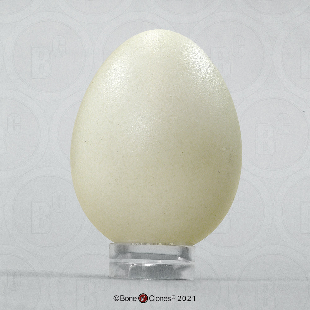 Bone Clones Bird and Platypus Eggs