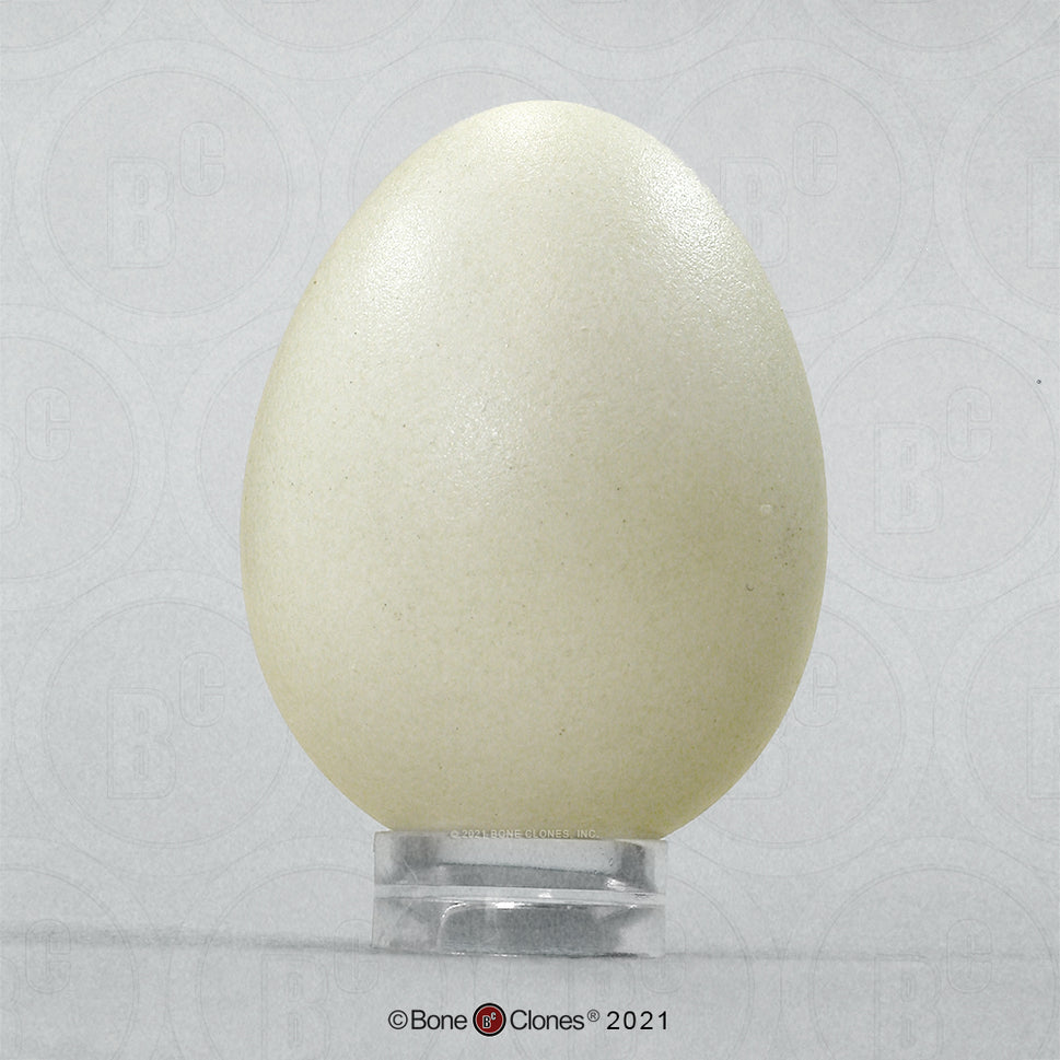 Bone Clones Bird and Platypus Eggs