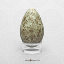 Switch KO-440 Raven Egg 3 image