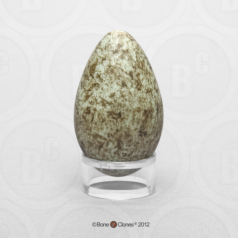 KO-440 Raven Egg