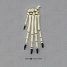 Switch SC-344-84-D Canine Forepaw Disarticulated 1 image