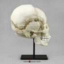 Switch BC-300-A side view 1 image