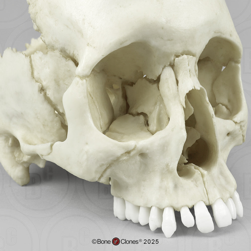 BC-300-A close up front view